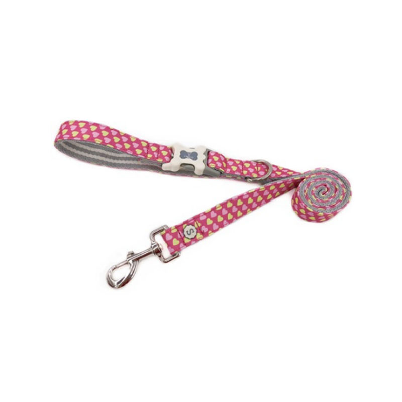 Udskrivning Nylon Dog Lydighed Recall Agility Training Lead